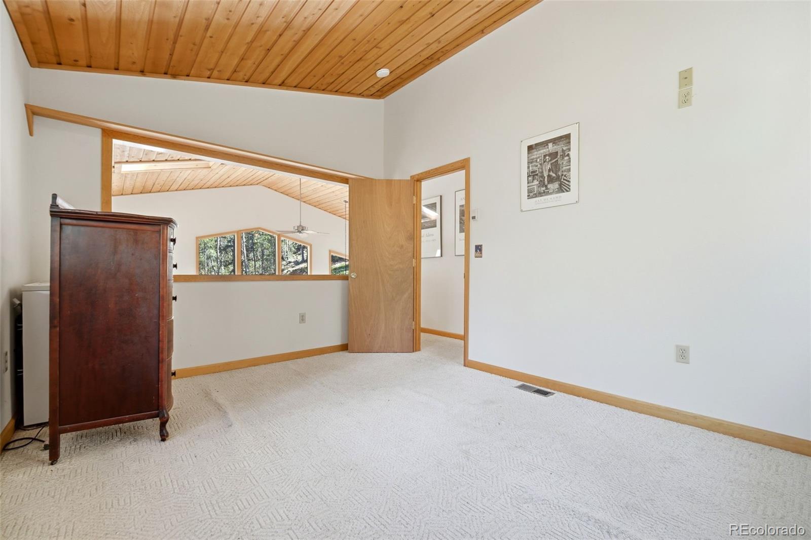 MLS Image #17 for 7101  county road 43 ,bailey, Colorado