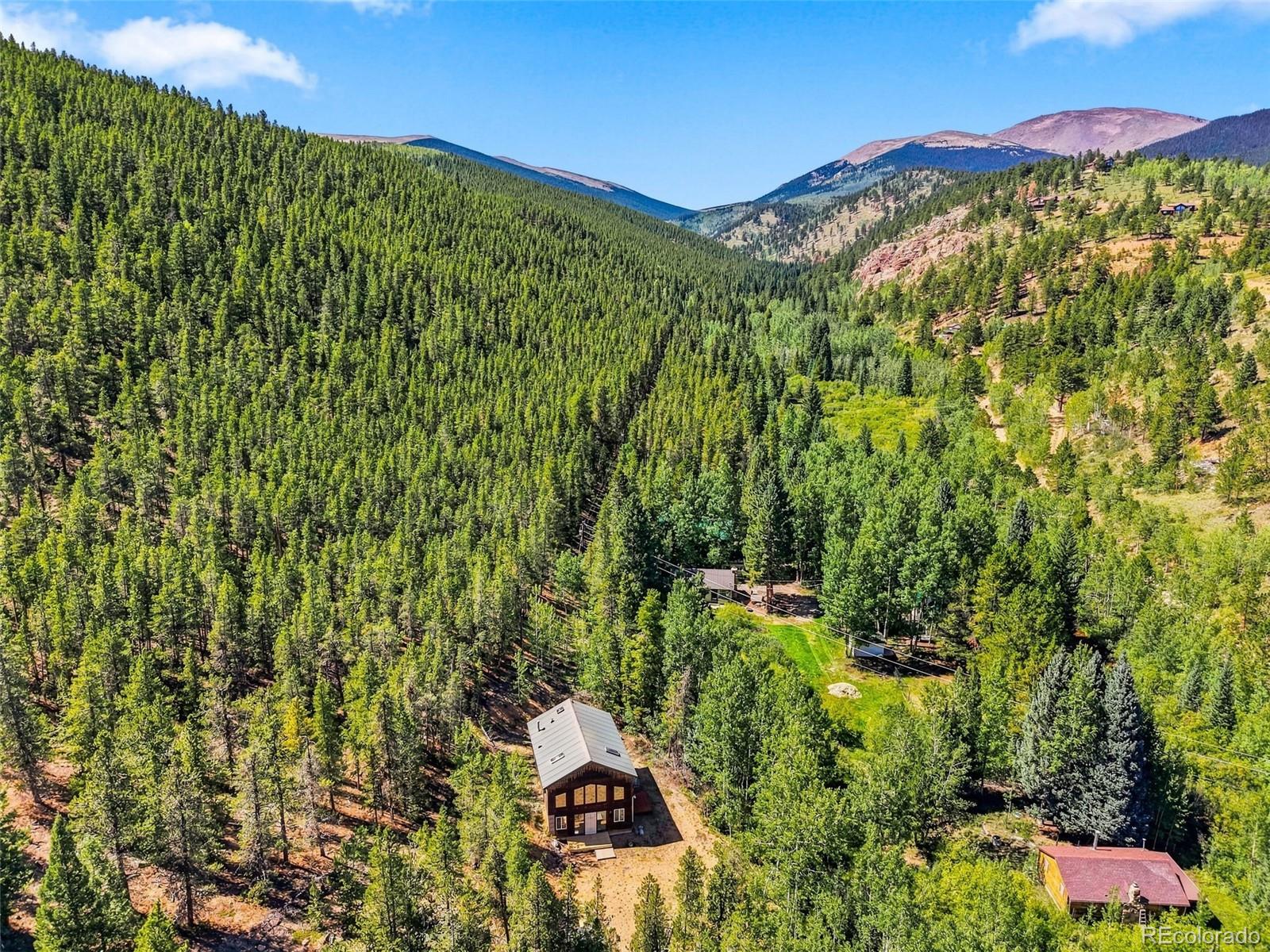 MLS Image #27 for 7101  county road 43 ,bailey, Colorado