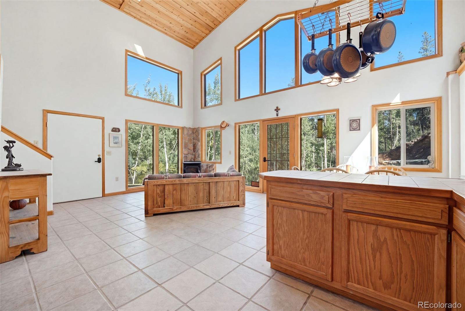 MLS Image #3 for 7101  county road 43 ,bailey, Colorado