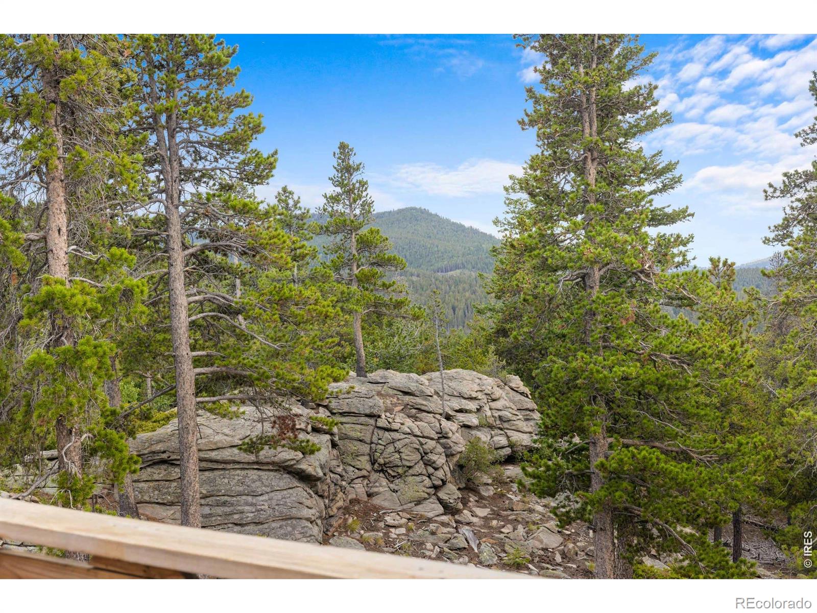 MLS Image #6 for 33998  lyttle dowdle drive,golden, Colorado
