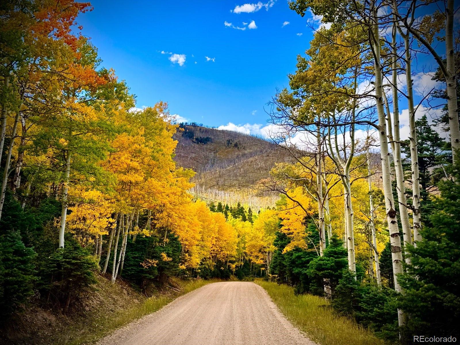 MLS Image #38 for 277  thompson road,la veta, Colorado