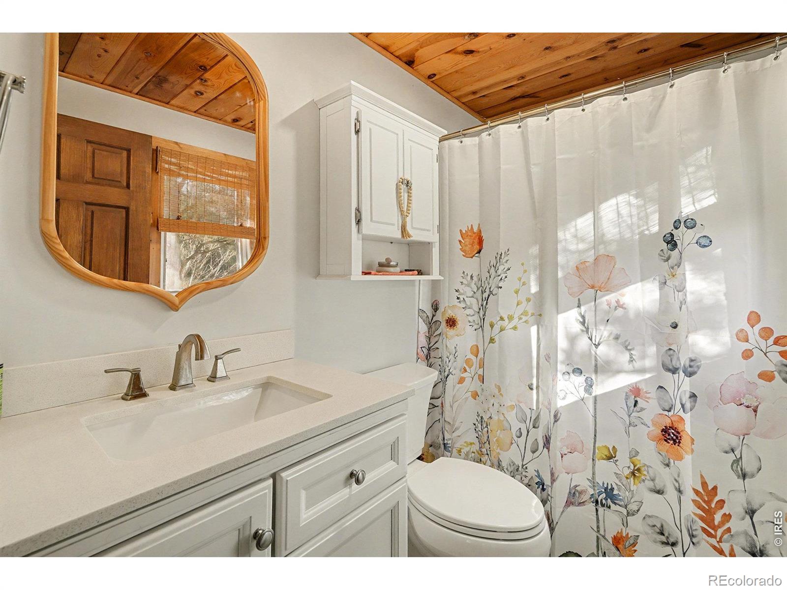 MLS Image #11 for 280  streamside drive,drake, Colorado