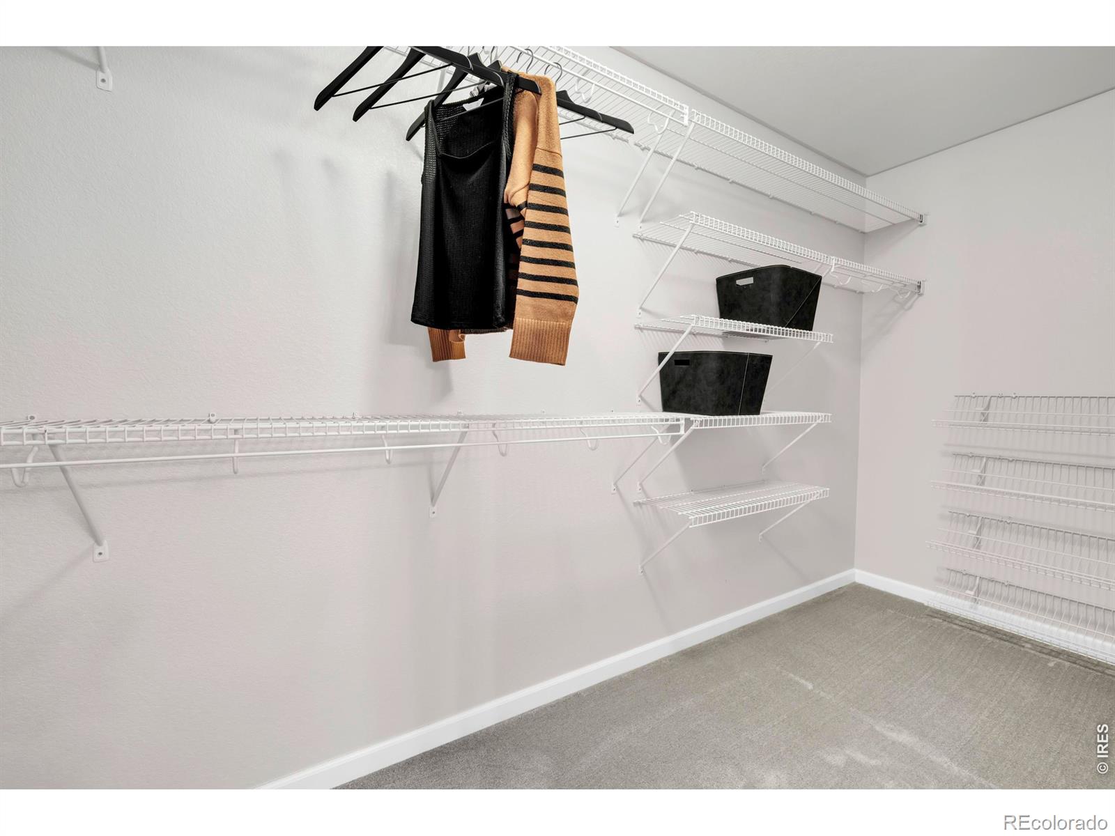 MLS Image #24 for 4130  arezzo drive,longmont, Colorado