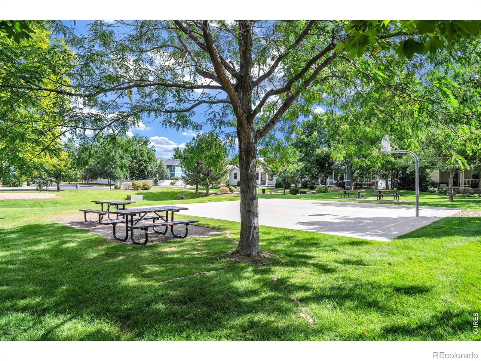 MLS Image #33 for 4130  arezzo drive,longmont, Colorado