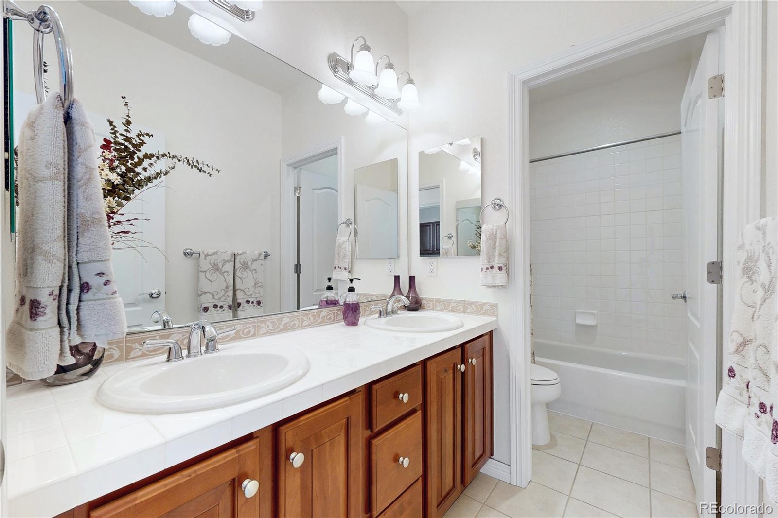 MLS Image #20 for 2644  pemberly avenue,highlands ranch, Colorado