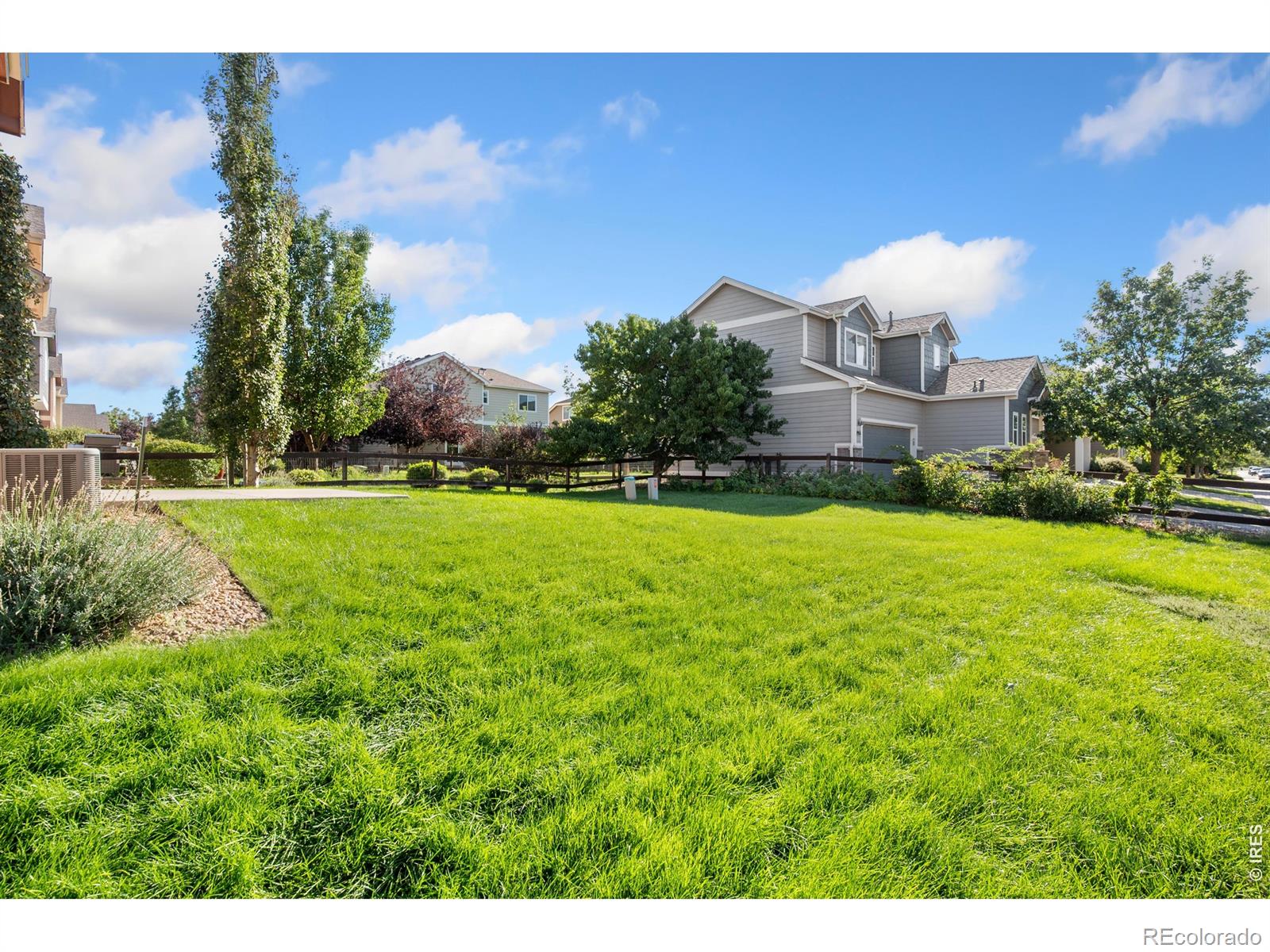 MLS Image #18 for 371  toronto street,fort collins, Colorado