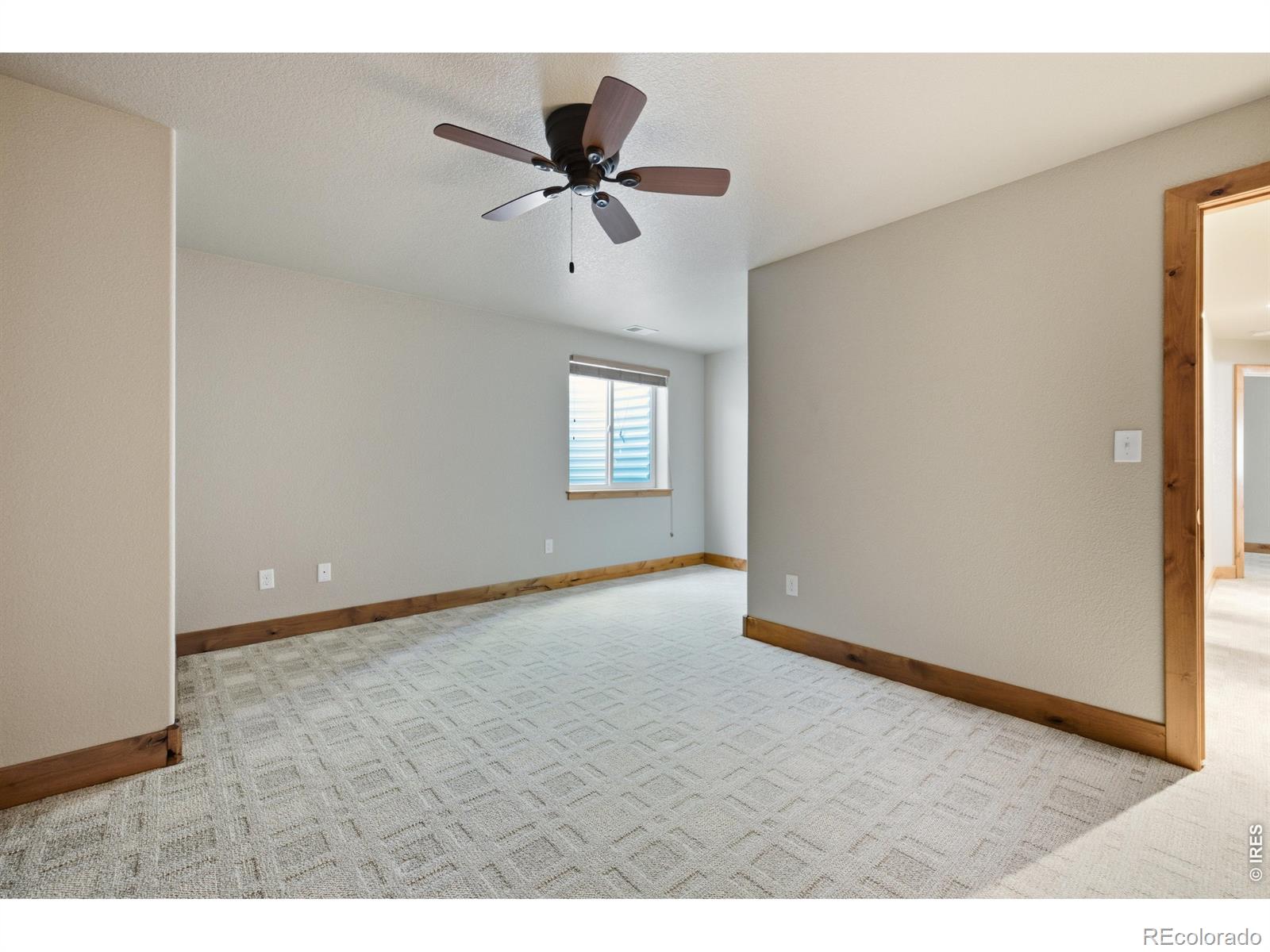 MLS Image #41 for 2010  ridgway court,loveland, Colorado