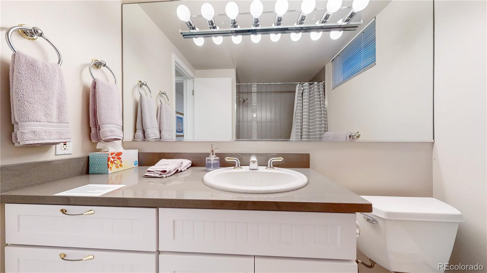 MLS Image #37 for 463  locust street,denver, Colorado