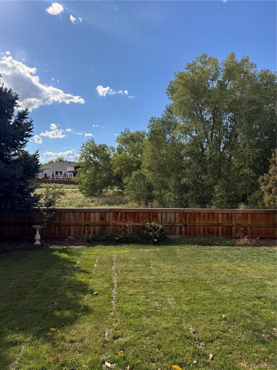 MLS Image #4 for 15862  crestrock circle,parker, Colorado