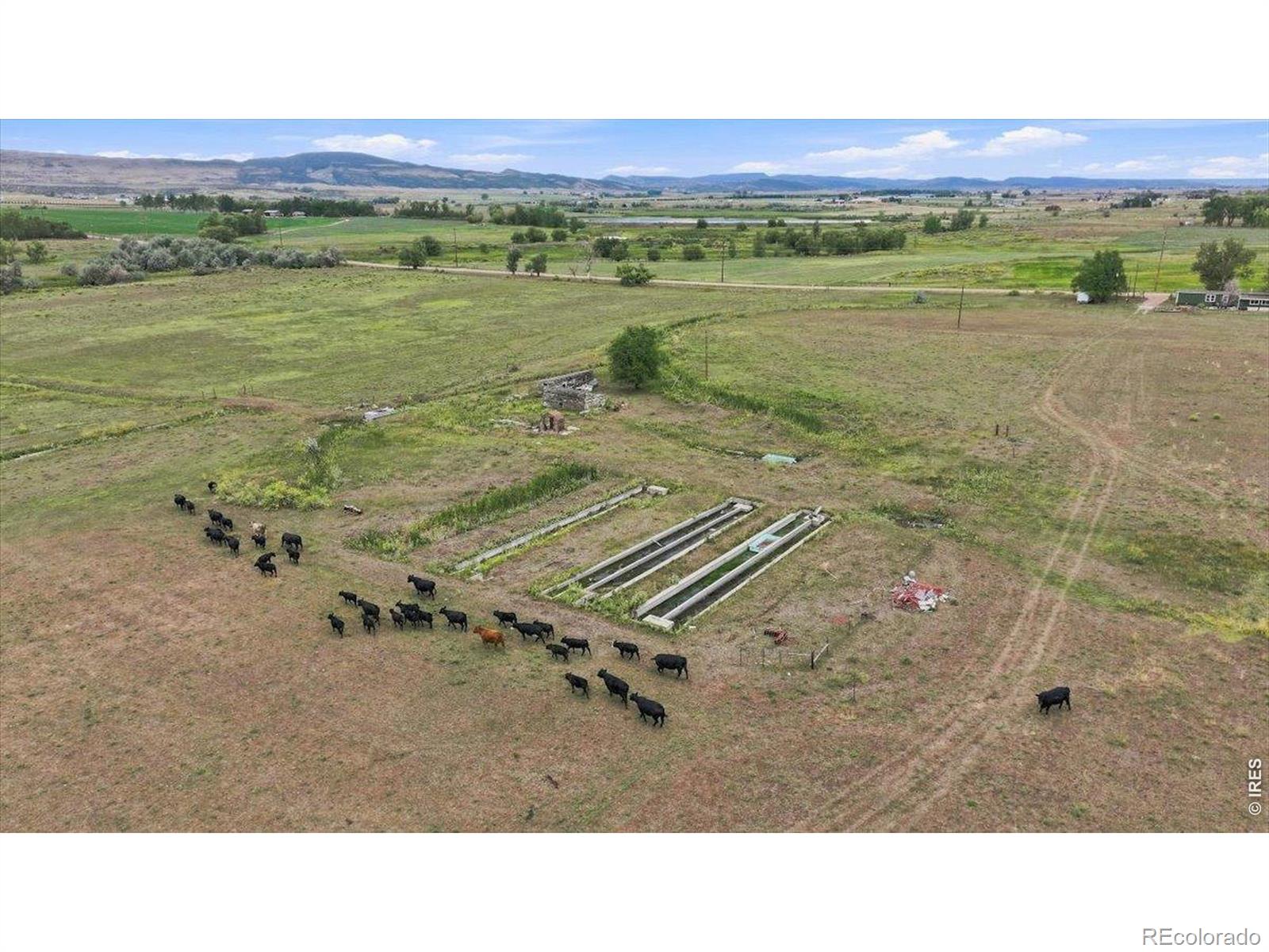 MLS Image #3 for 1127 w county road 66 ,fort collins, Colorado