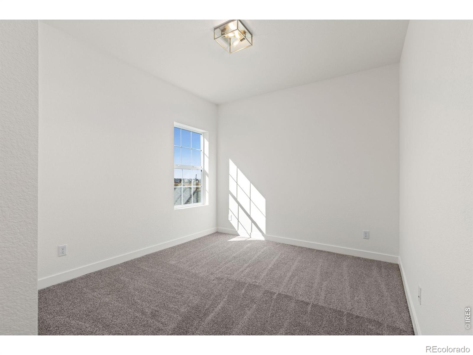 MLS Image #18 for 1579  ash drive,erie, Colorado