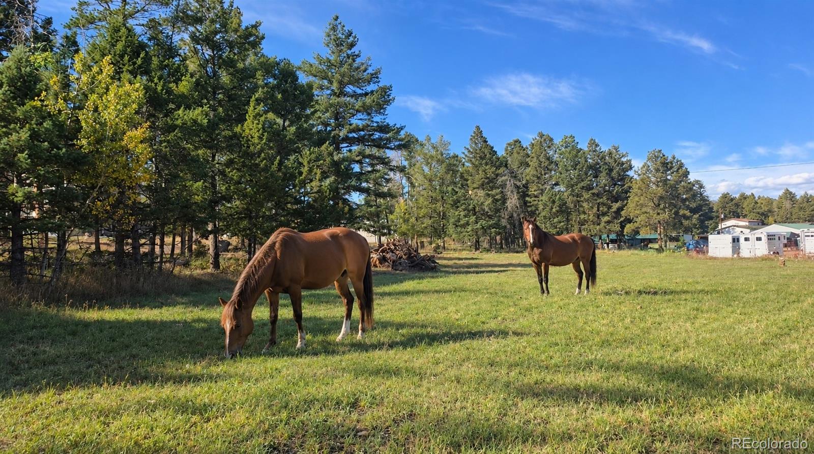 MLS Image #46 for 12090 s ridge road,conifer, Colorado