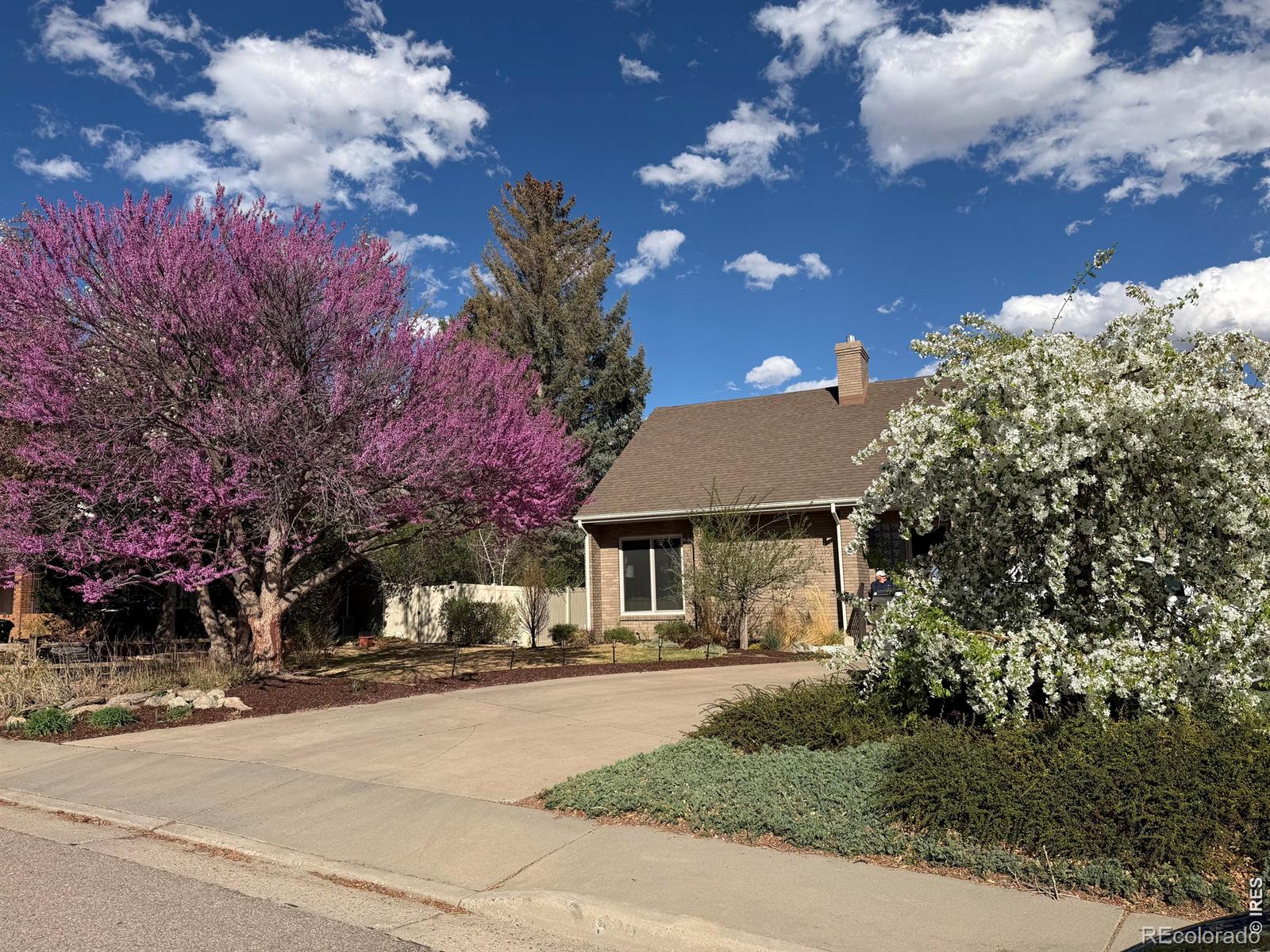 MLS Image #47 for 3530  akron court,loveland, Colorado