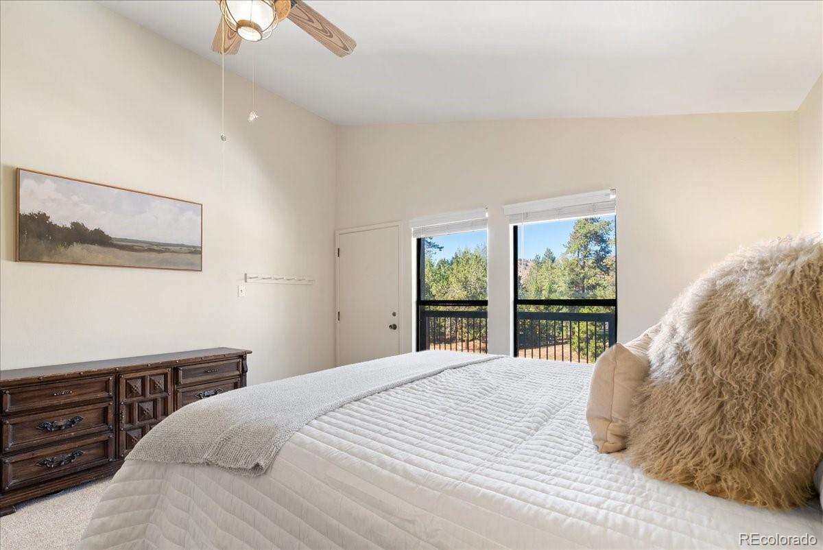MLS Image #11 for 244  lodgepole street,dillon, Colorado
