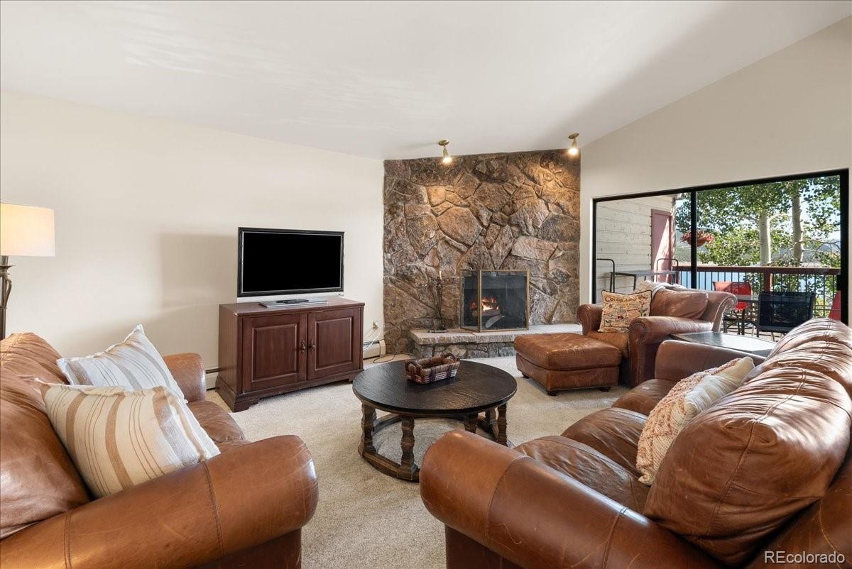 MLS Image #18 for 244  lodgepole street,dillon, Colorado