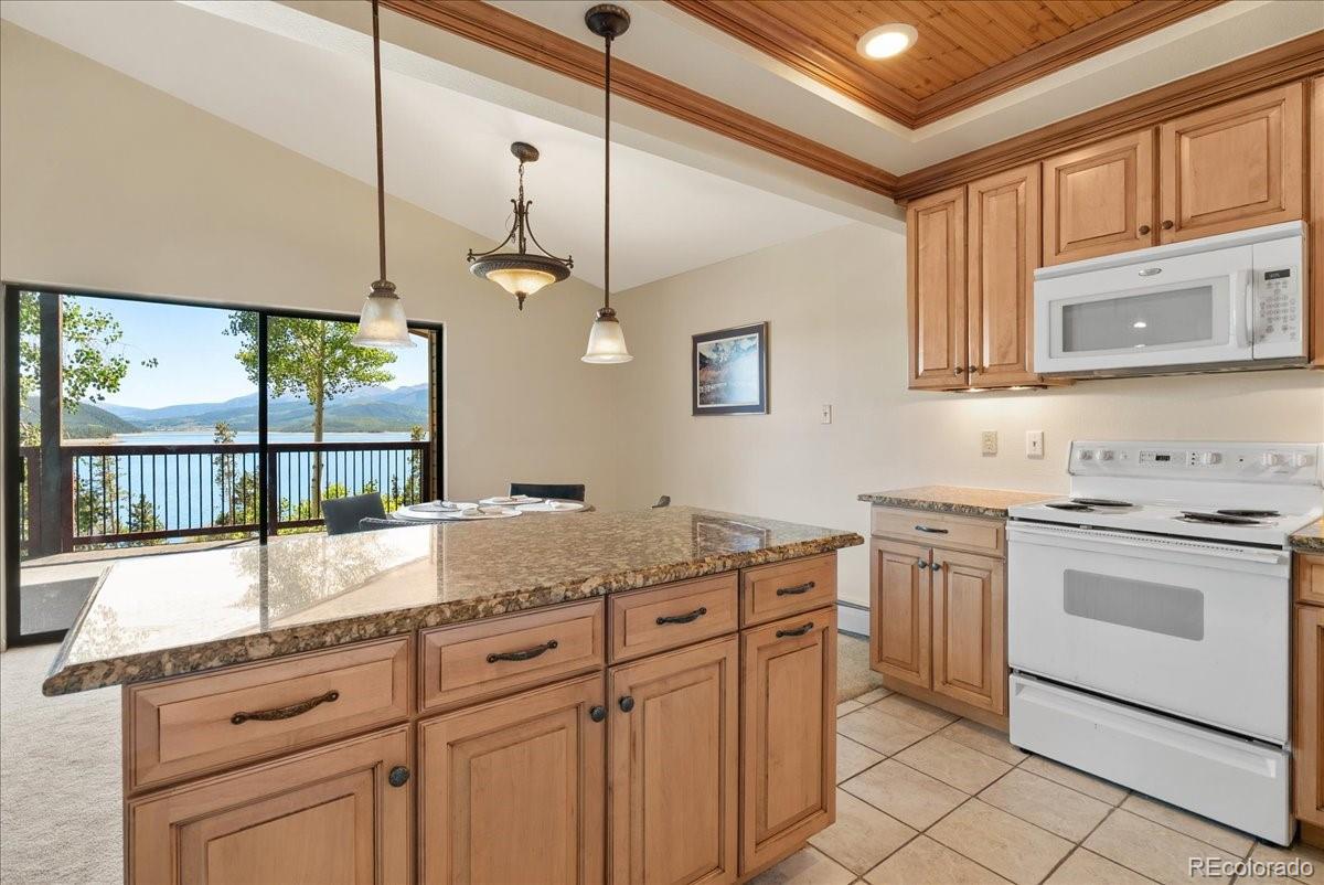 MLS Image #19 for 244  lodgepole street,dillon, Colorado