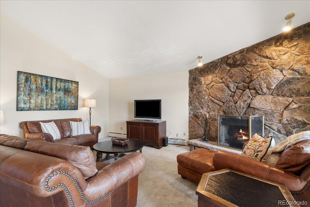 MLS Image #4 for 244  lodgepole street,dillon, Colorado