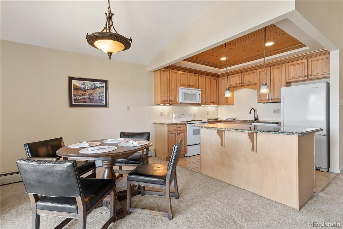 MLS Image #7 for 244  lodgepole street,dillon, Colorado