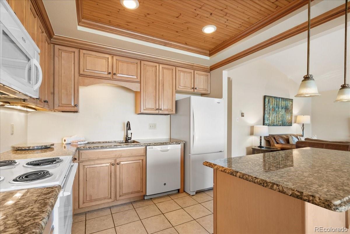 MLS Image #8 for 244  lodgepole street,dillon, Colorado