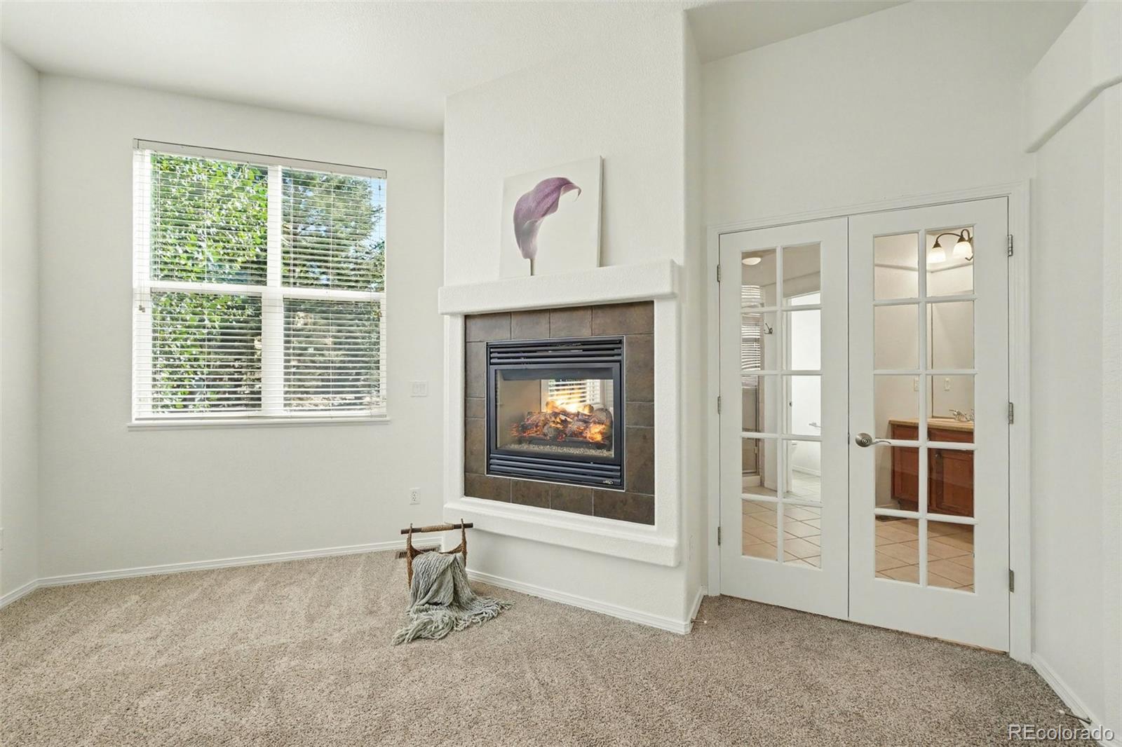 MLS Image #20 for 15843  bridle ridge drive,monument, Colorado