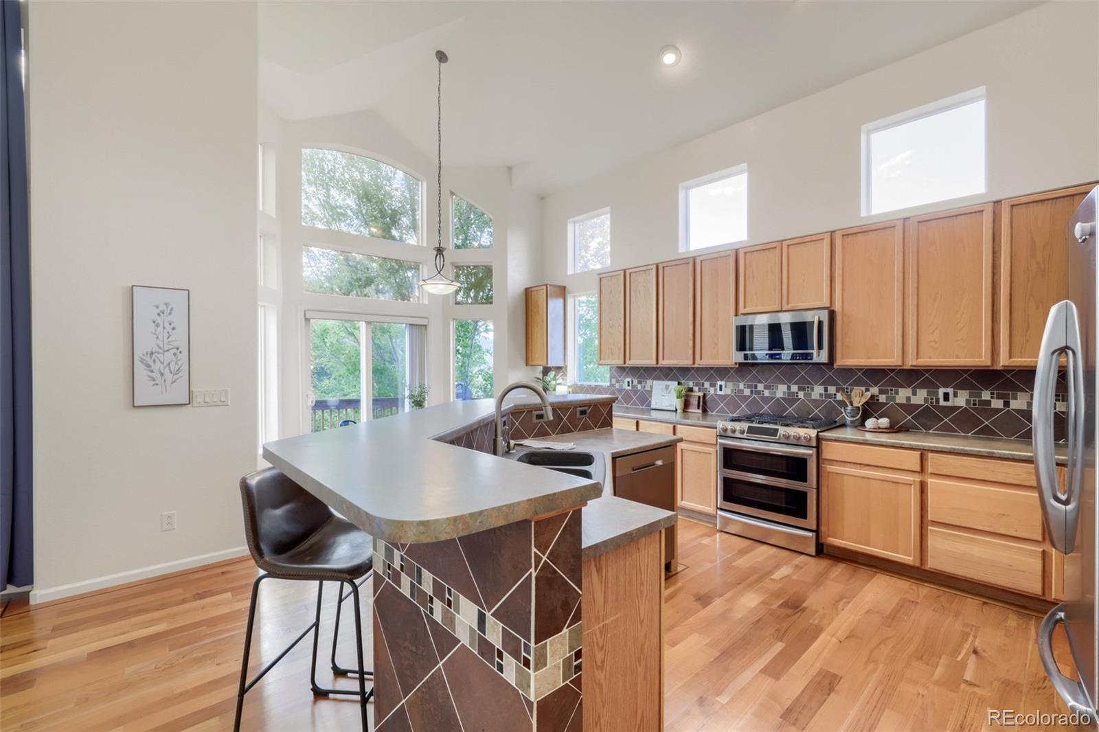 MLS Image #4 for 7691  bison court,littleton, Colorado