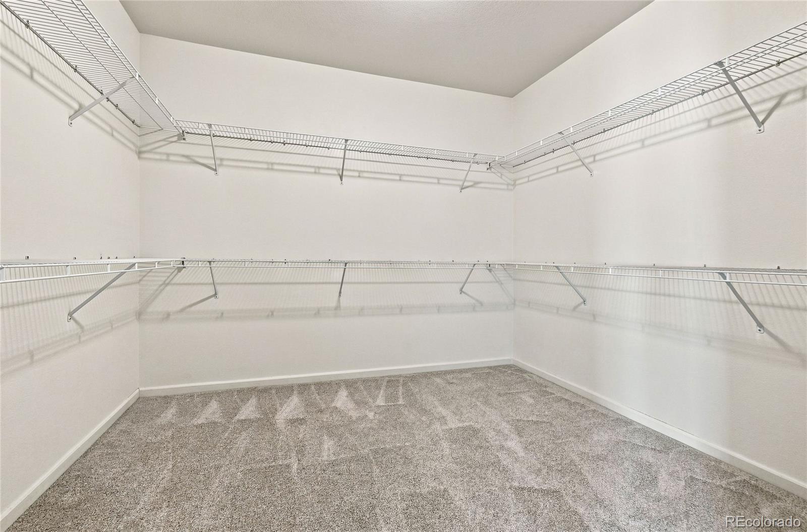 MLS Image #18 for 21087  hawthorne lane,parker, Colorado