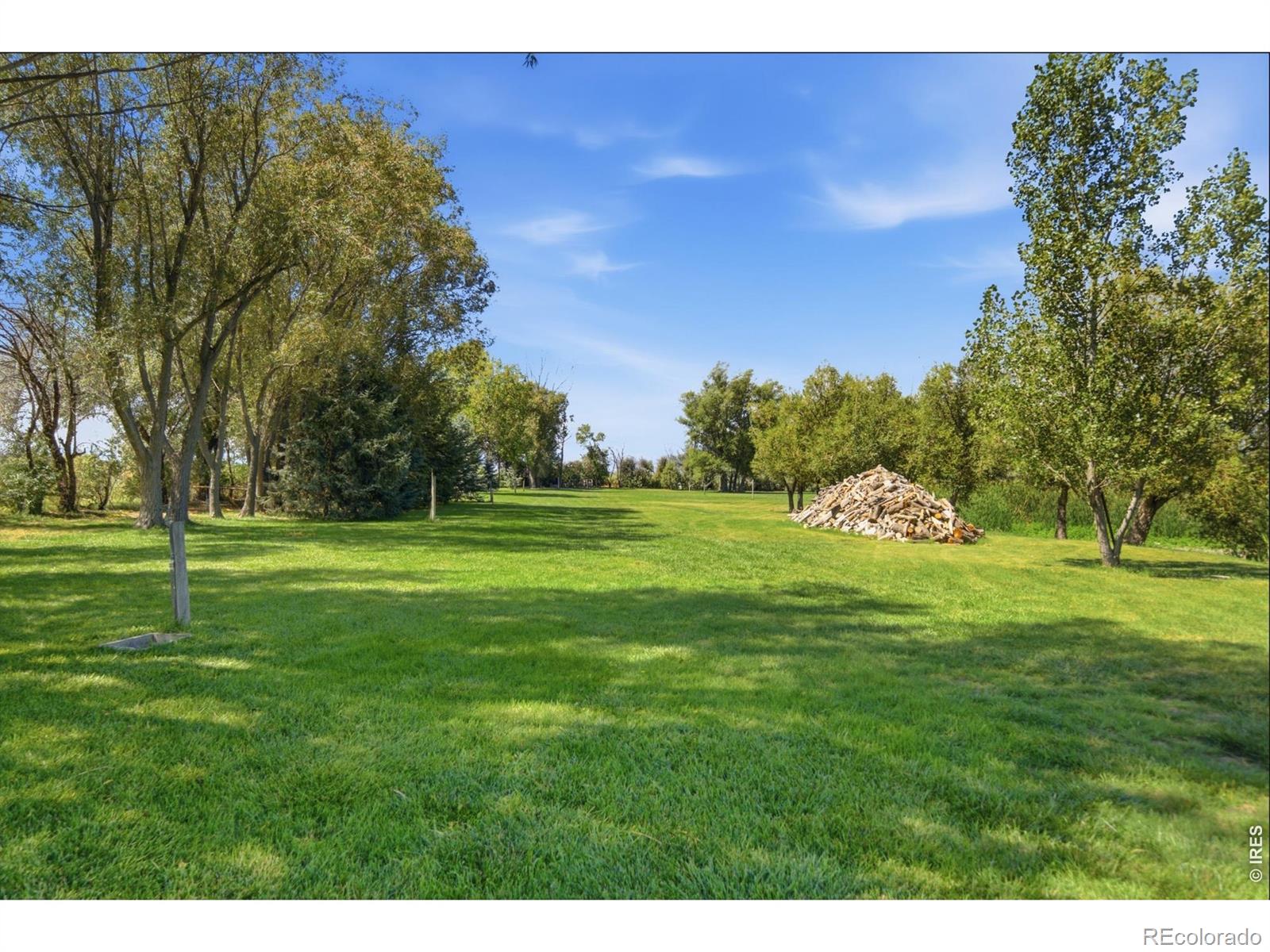 MLS Image #5 for 33741  highway 257 ,windsor, Colorado
