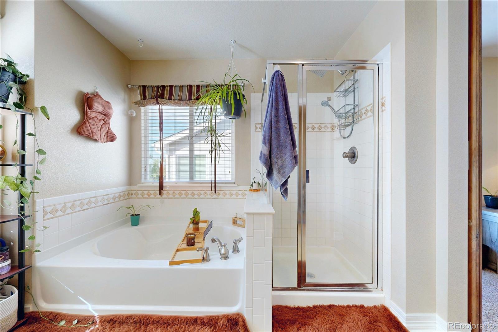 MLS Image #33 for 5548  lewiston court,denver, Colorado