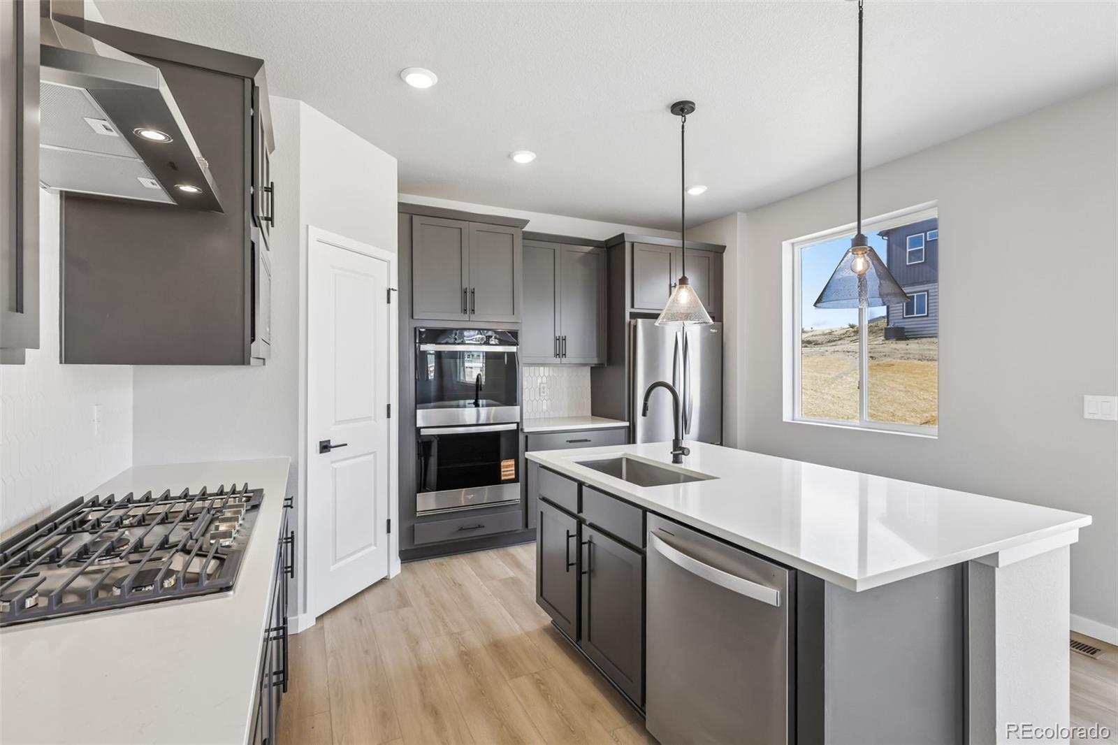 MLS Image #10 for 13381  finnhorse street,parker, Colorado
