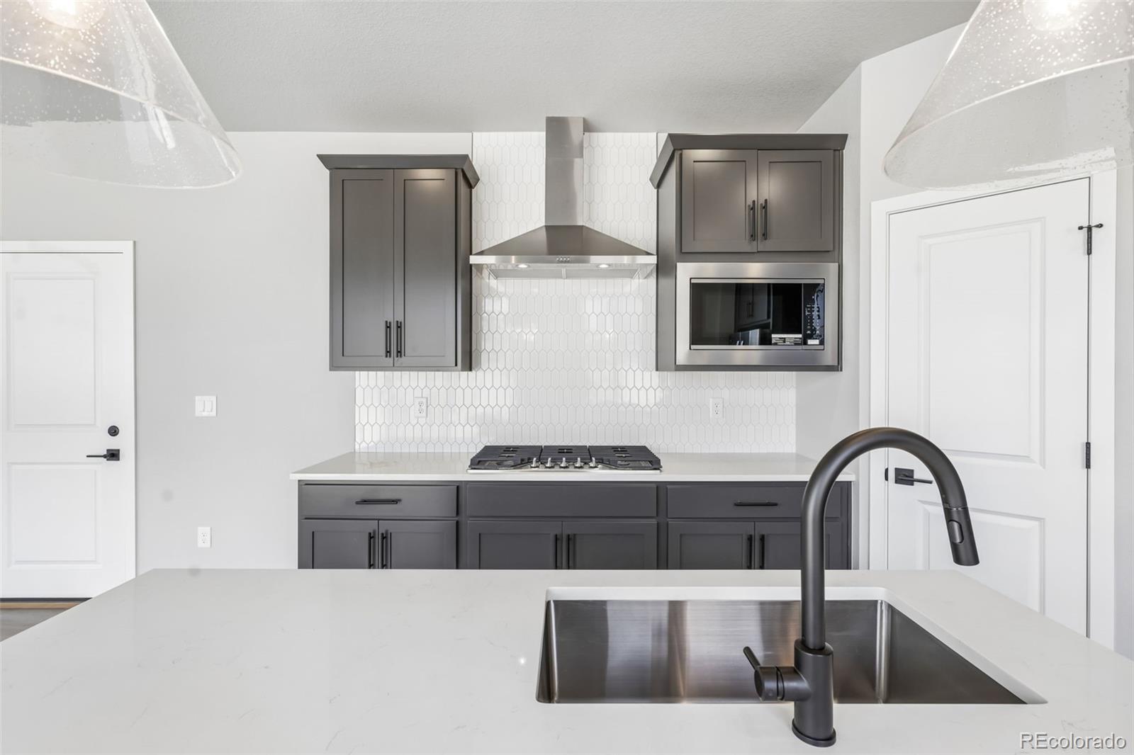 MLS Image #11 for 13381  finnhorse street,parker, Colorado