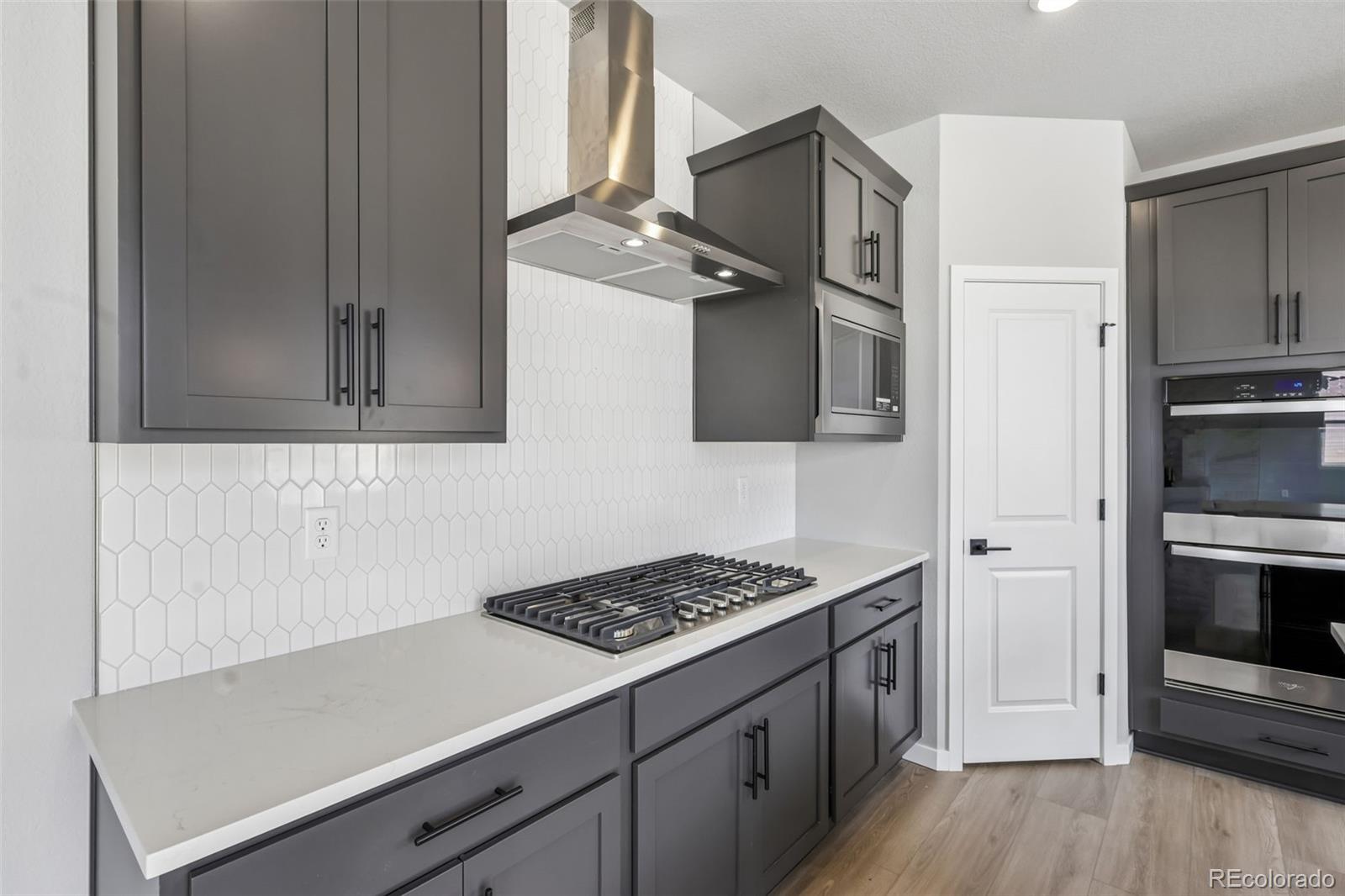 MLS Image #12 for 13381  finnhorse street,parker, Colorado