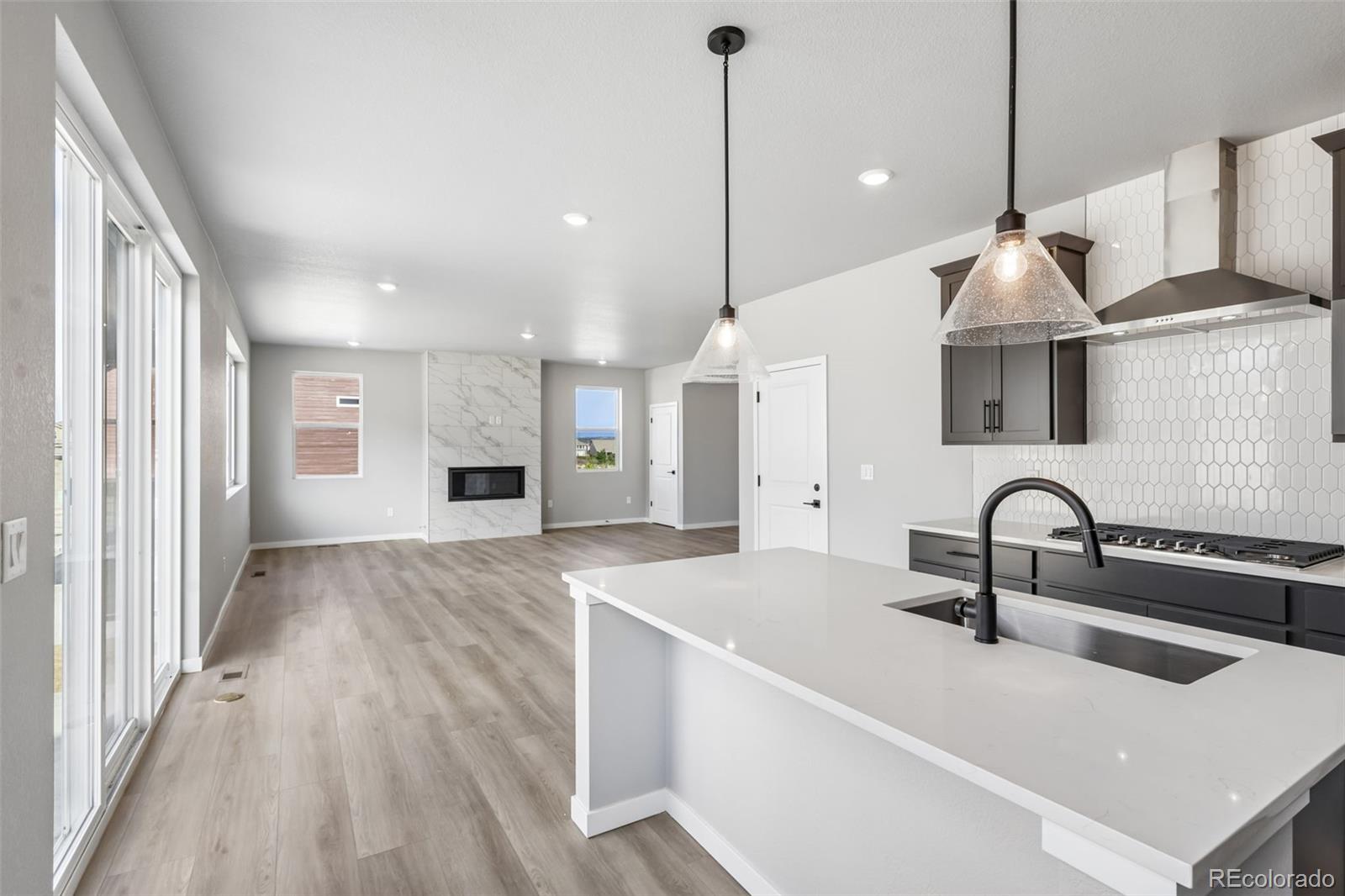 MLS Image #8 for 13381  finnhorse street,parker, Colorado