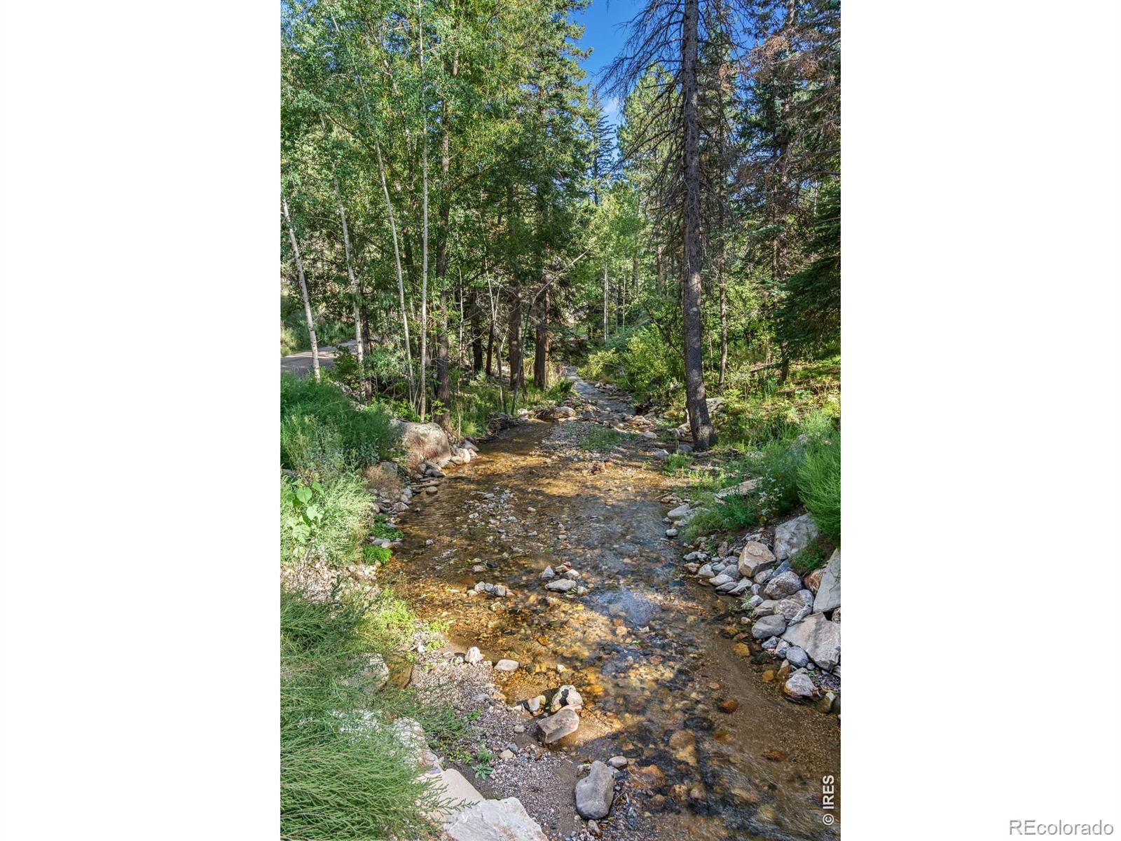 MLS Image #11 for 459  streamside drive,glen haven, Colorado