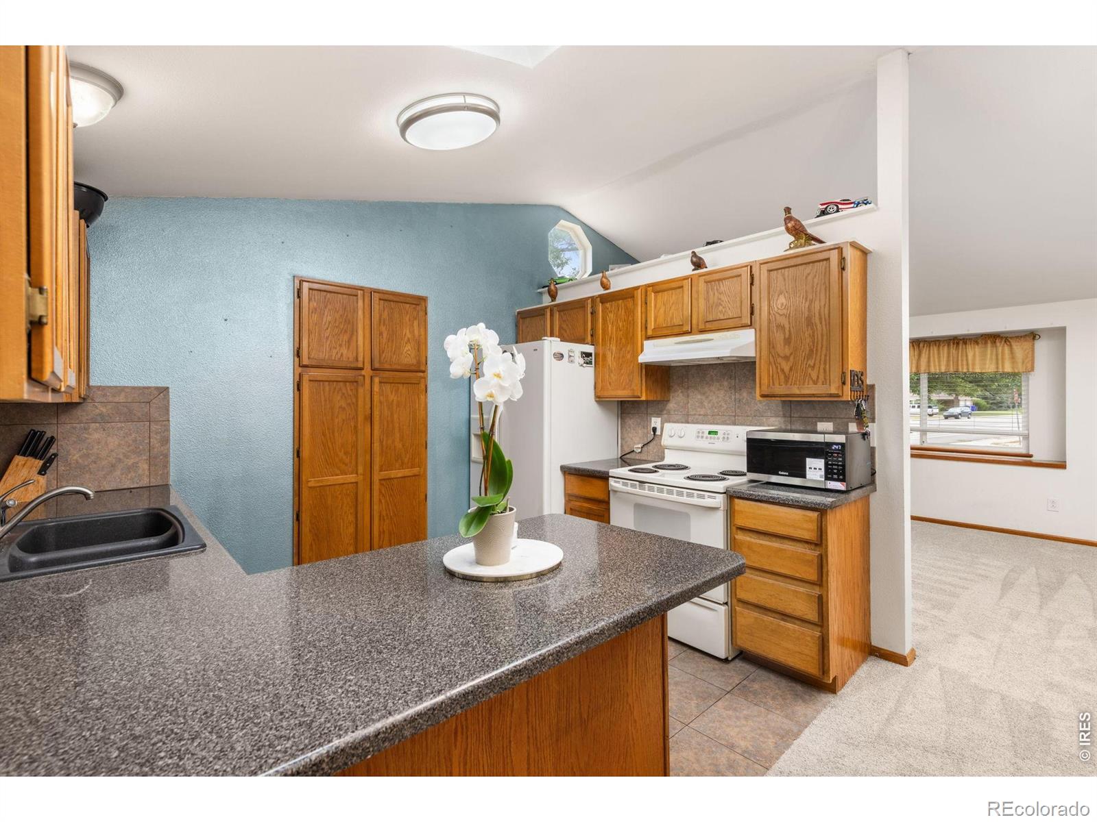 MLS Image #9 for 2257  11th street,loveland, Colorado