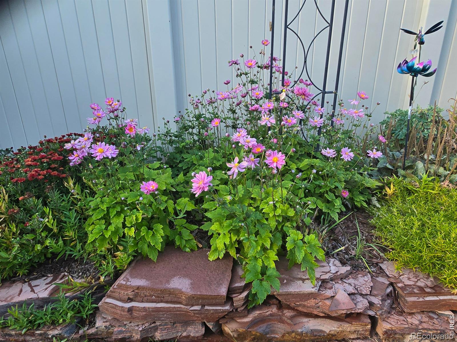 MLS Image #6 for 6201 w 13th st rd,greeley, Colorado