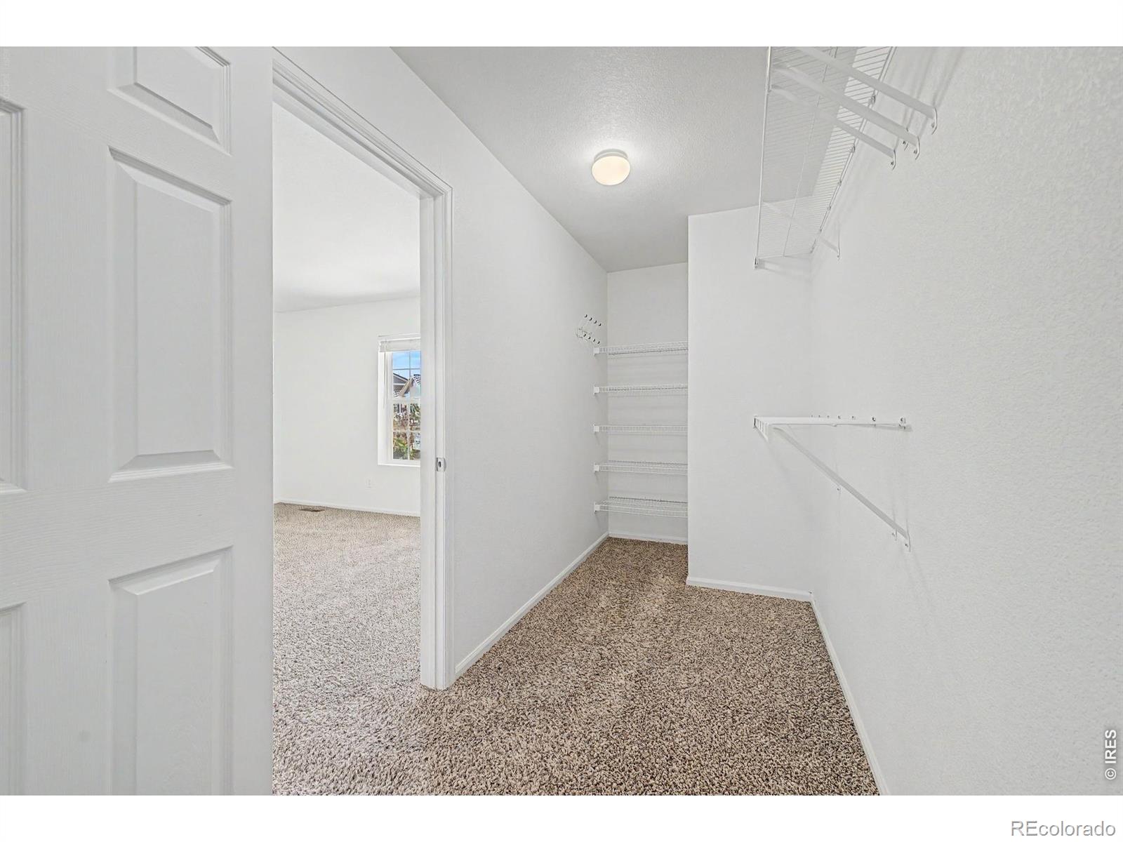 MLS Image #20 for 3505  dinosaur street,castle rock, Colorado