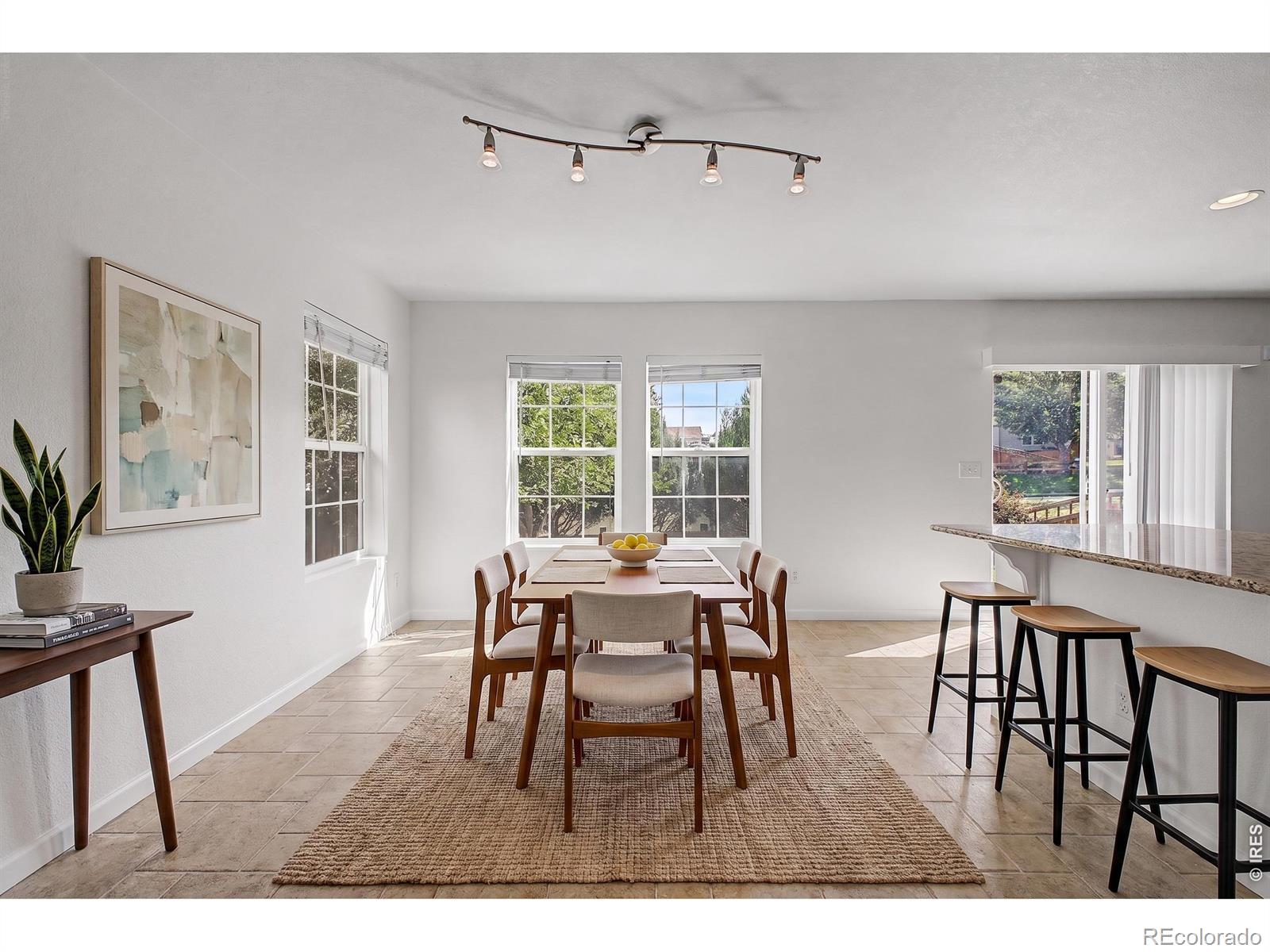 MLS Image #6 for 3505  dinosaur street,castle rock, Colorado