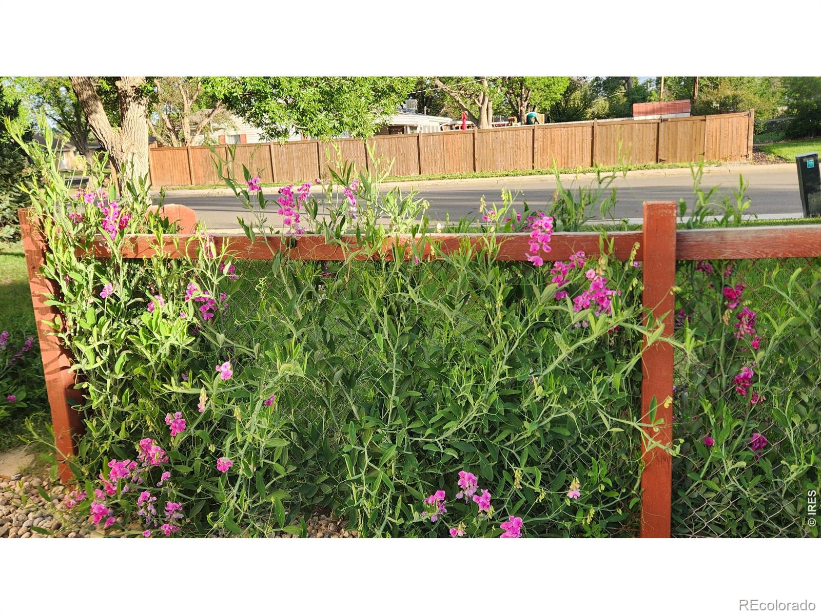 MLS Image #23 for 521 w 33rd street,loveland, Colorado