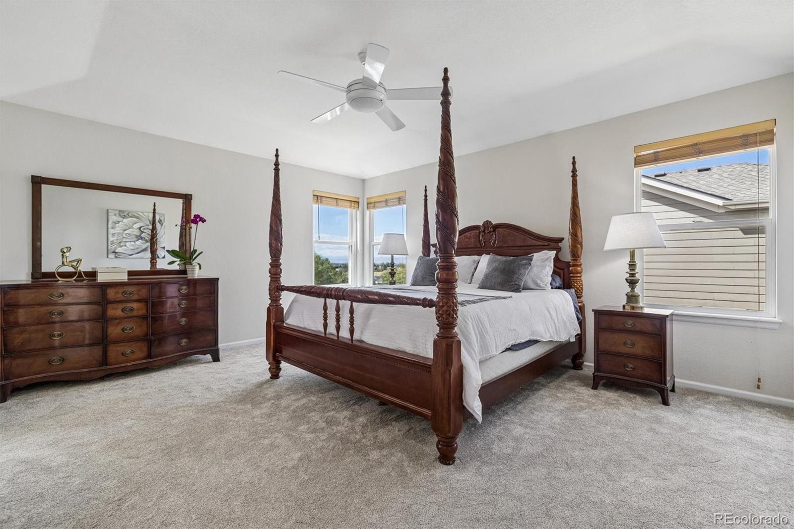 MLS Image #10 for 10767  pikeview lane,parker, Colorado