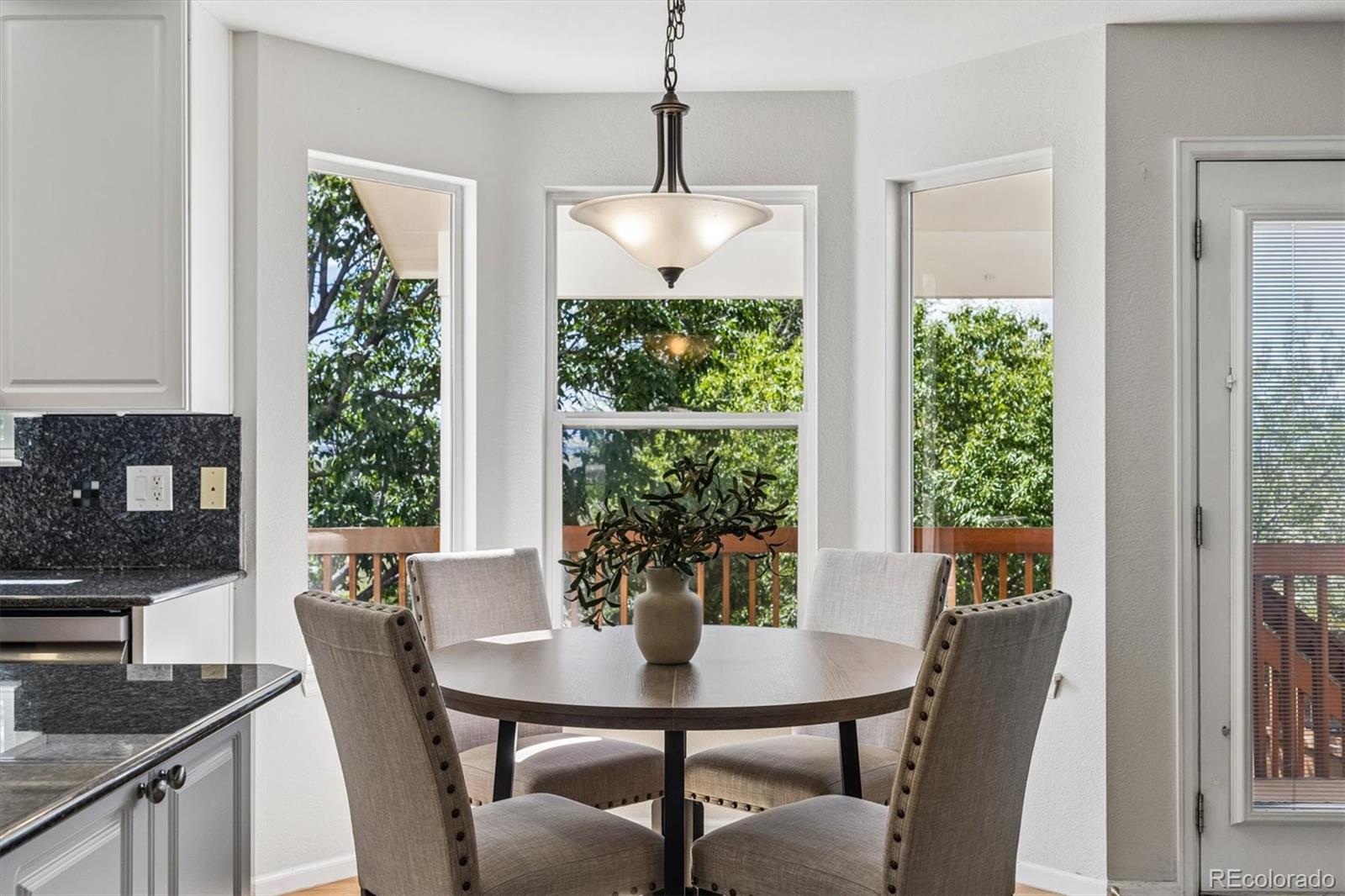MLS Image #8 for 10767  pikeview lane,parker, Colorado