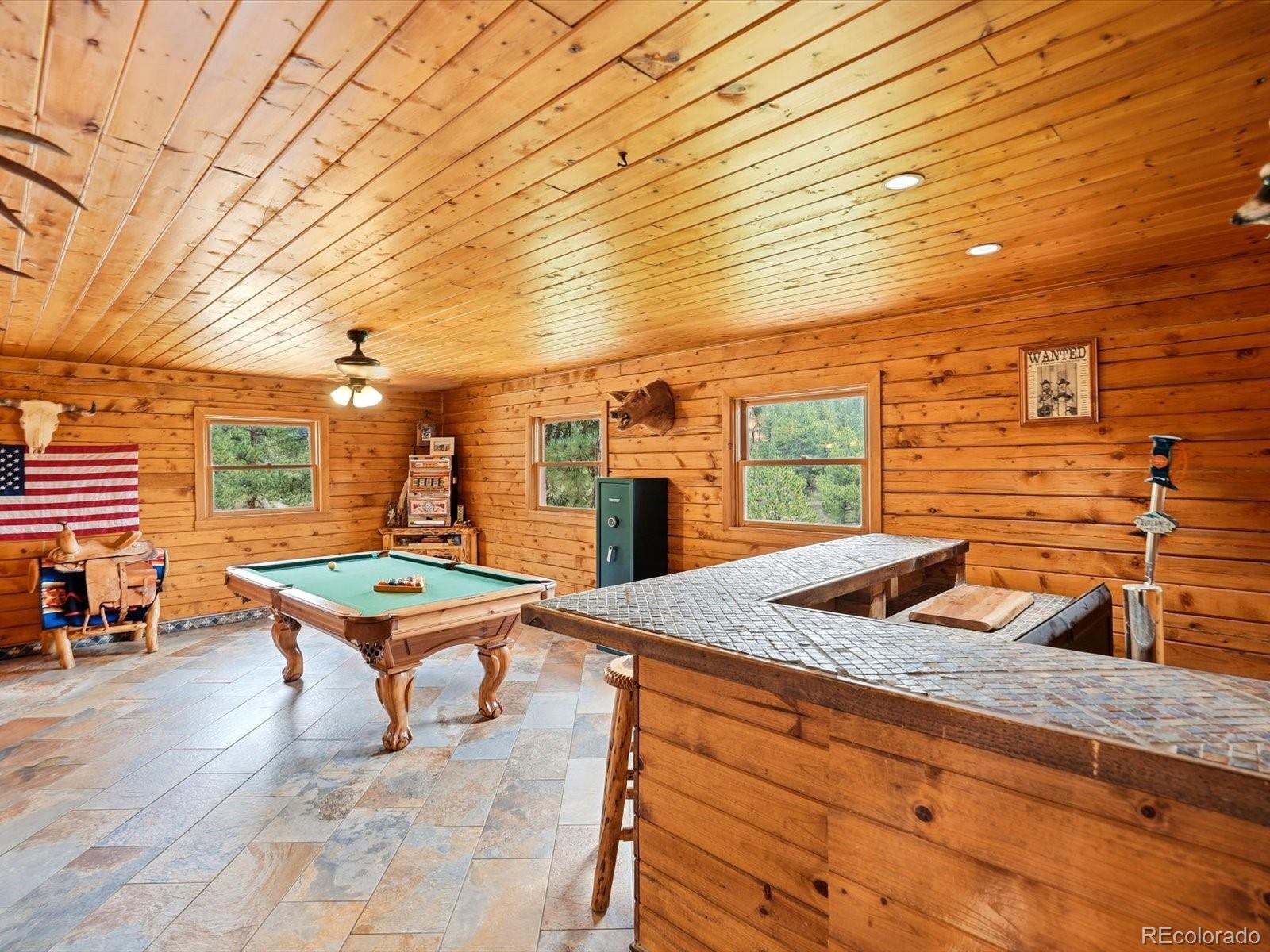MLS Image #16 for 325  road d ,pine, Colorado