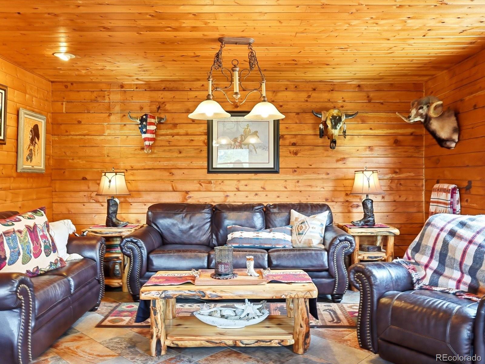 MLS Image #17 for 325  road d ,pine, Colorado
