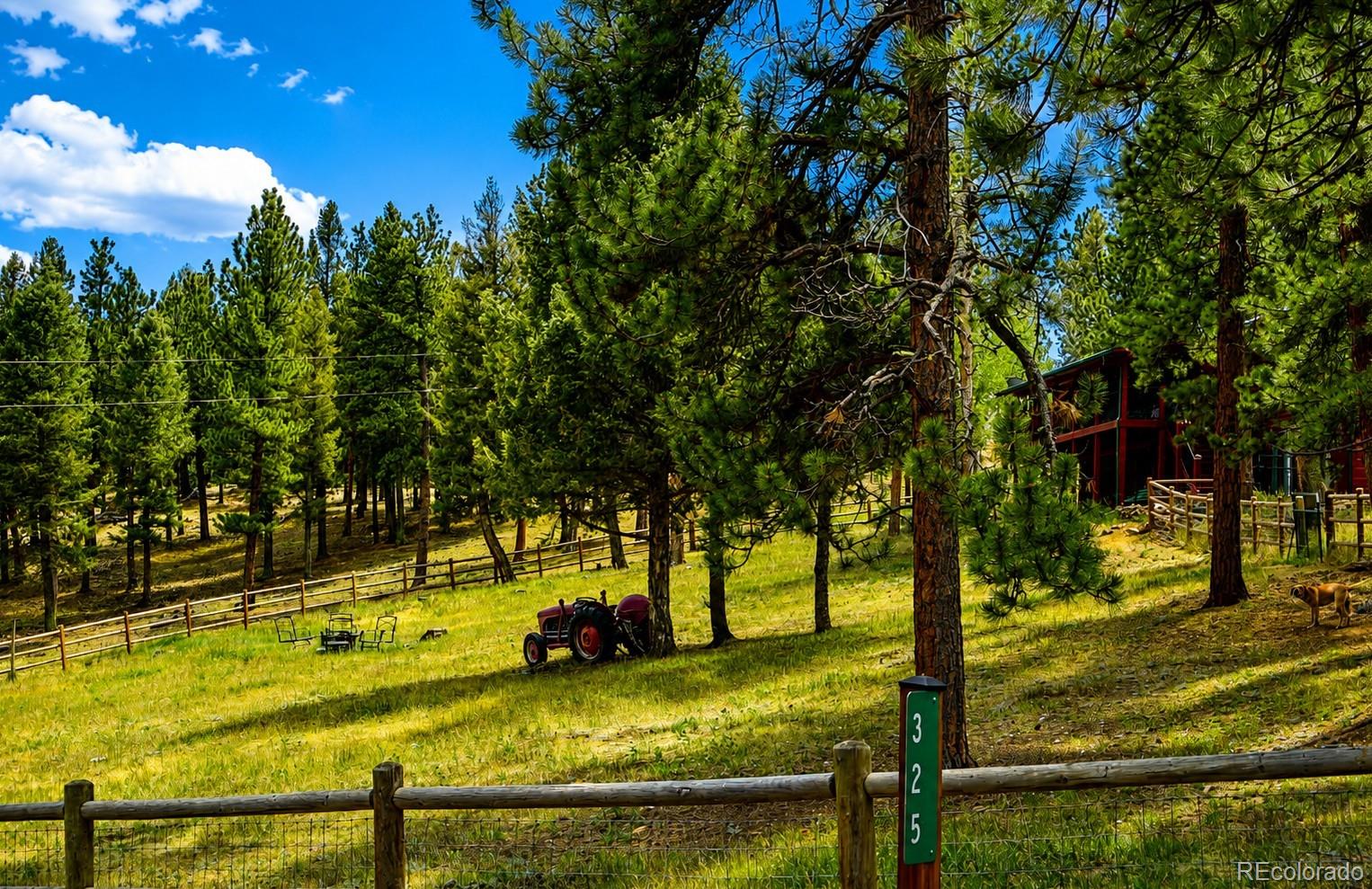 MLS Image #40 for 325  road d ,pine, Colorado