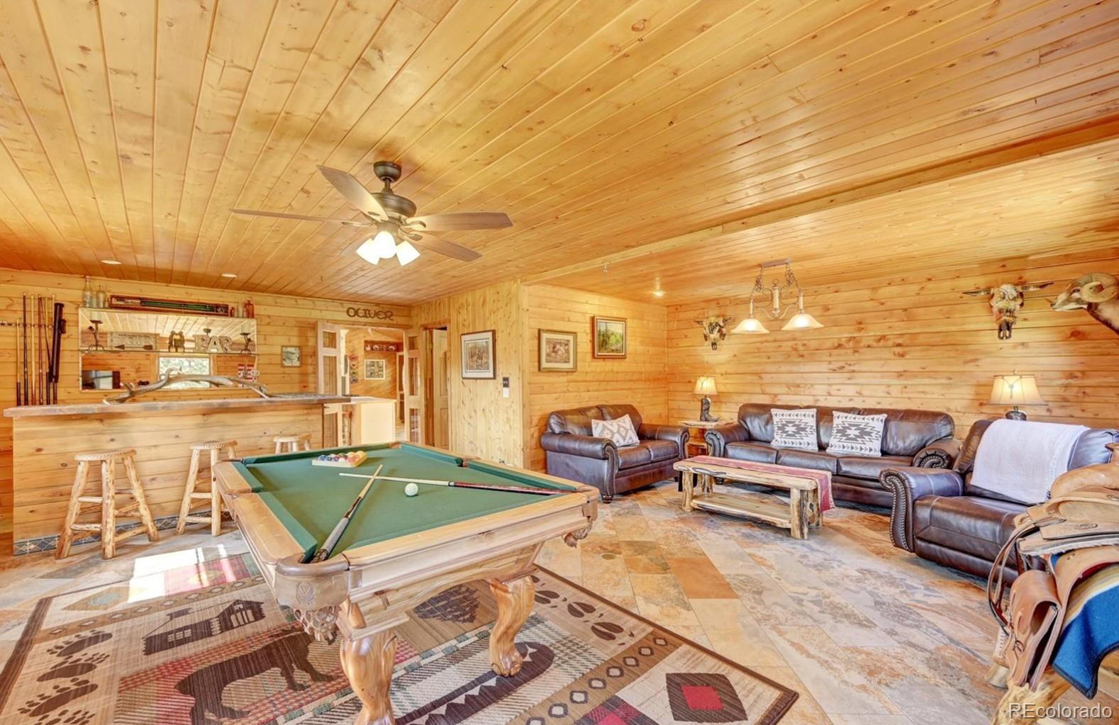 MLS Image #8 for 325  road d ,pine, Colorado