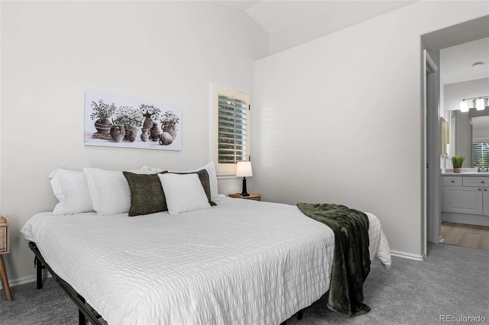 MLS Image #14 for 9568  wangaratta court,highlands ranch, Colorado