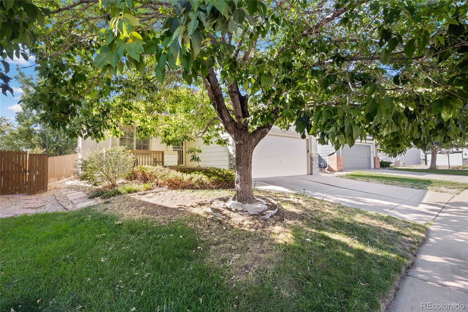 MLS Image #30 for 9568  wangaratta court,highlands ranch, Colorado