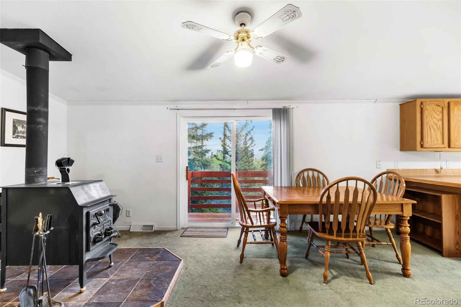 MLS Image #13 for 647  wampum lane,como, Colorado