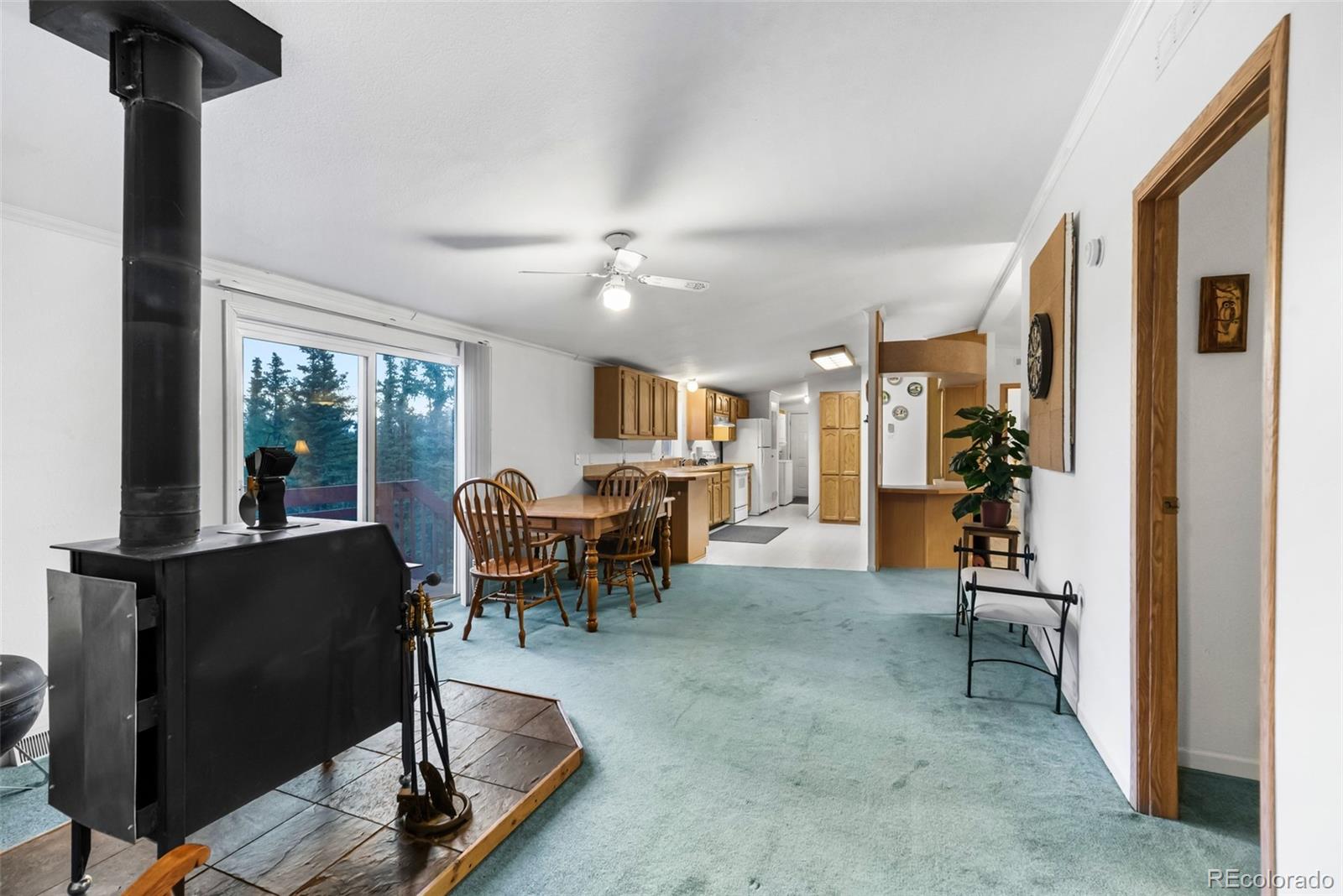 MLS Image #18 for 647  wampum lane,como, Colorado