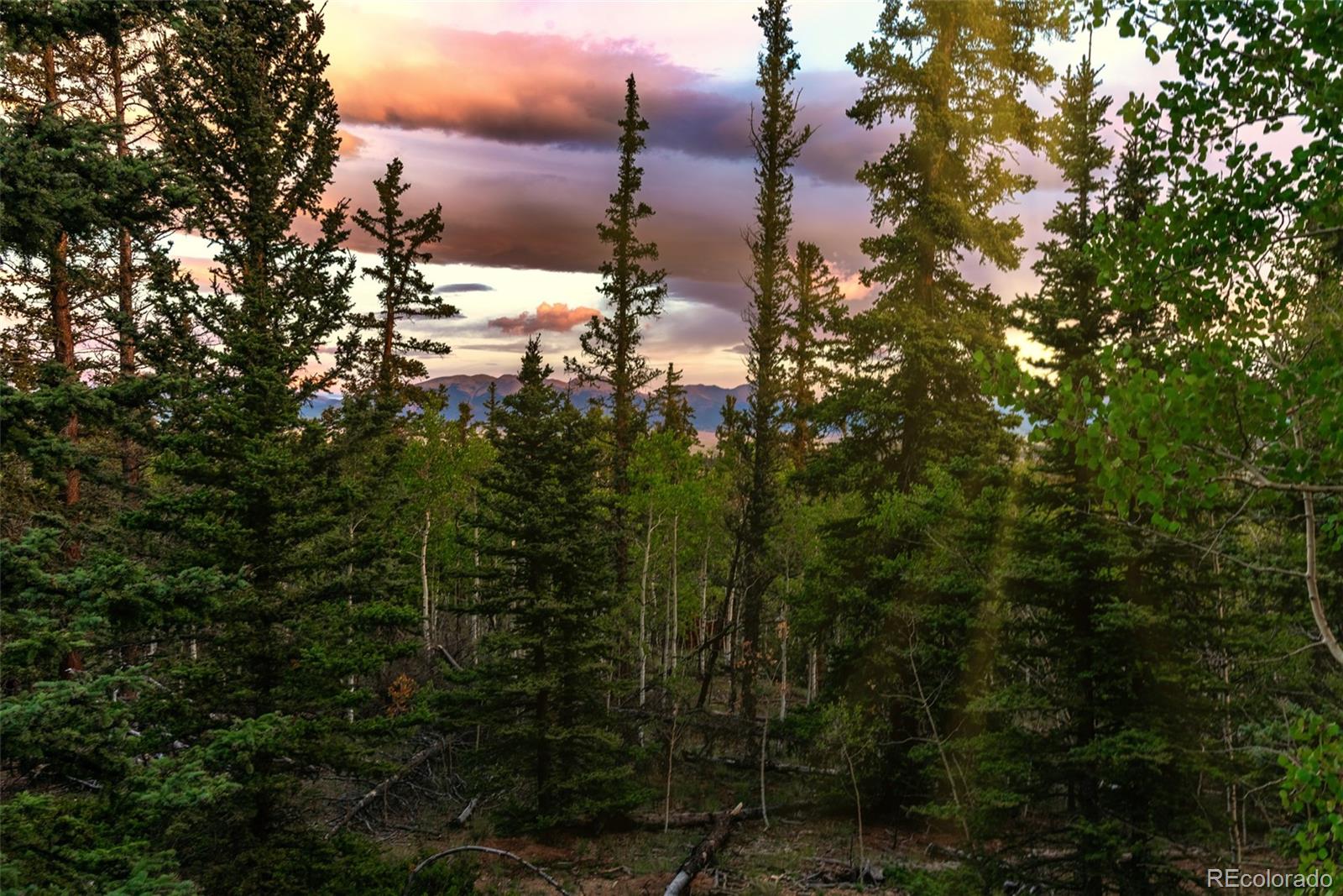 MLS Image #33 for 647  wampum lane,como, Colorado