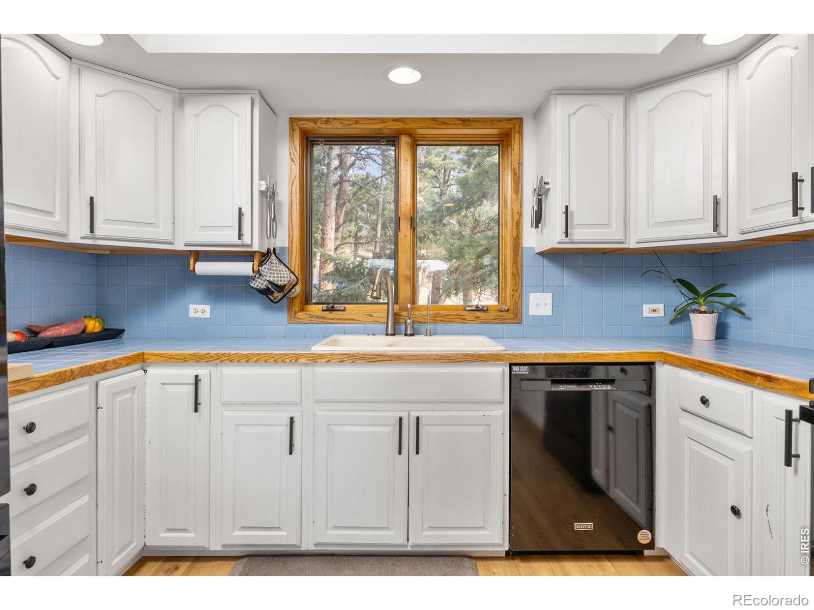 MLS Image #17 for 14  sundown trail,nederland, Colorado